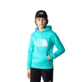 Kinder Drew Peak Hoodie Wald oliv