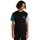 Colorblock Varsity T-Shirt Schwarz/Bistrogrün/Ledergrau