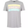 Take You Home T-shirt Grau/Multi