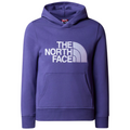 Kinder Drew Peak Hoodie TNF Schwarz