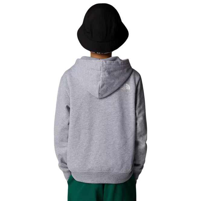 Varsity Graphic Relaxed Hoodie TNF Light Grey Heather